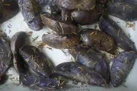 Rosemary Roasted Purple Potatoes
